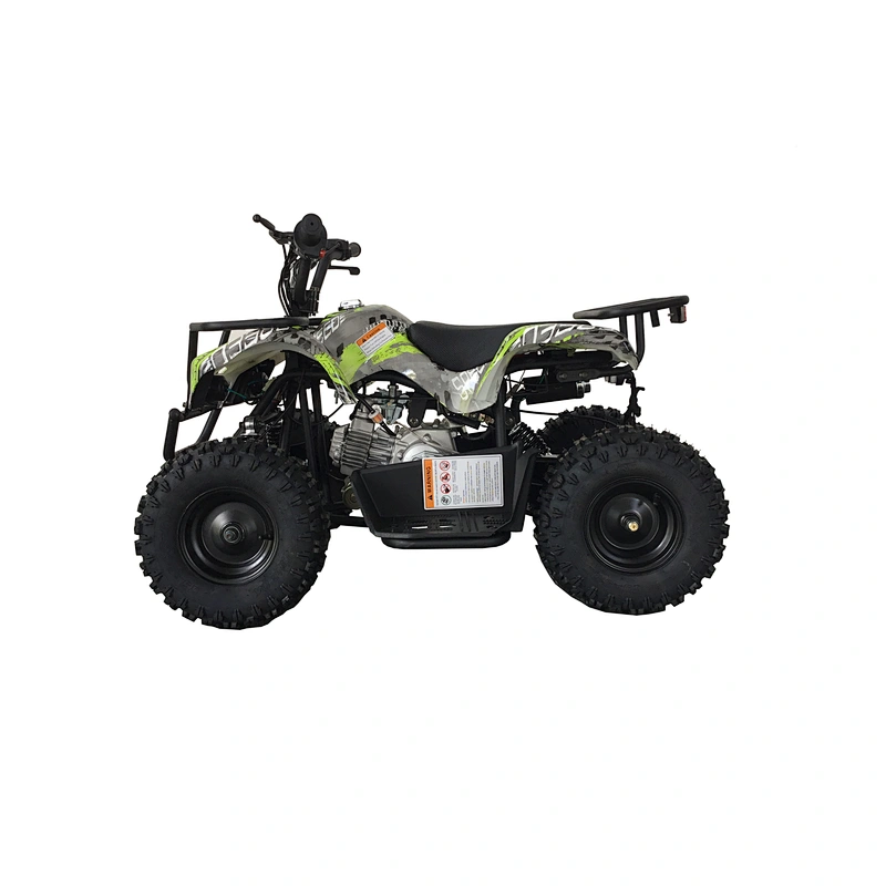 Newest design top quality exclusive design cheap electric quad bike atv for sale