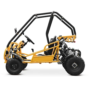 Wholesale High Quality factory direct sale CE approved new automatic professional go kart price