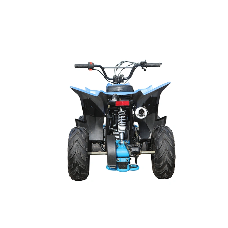 110cc ATV unique design automatic electric start KD110A-1