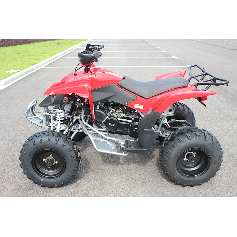 Adult ATV 200CC | QUAD BIKE with EFI