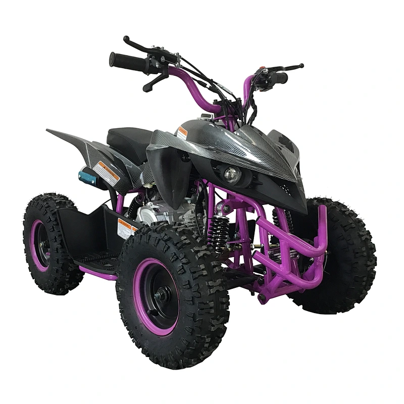 Hot sale best quality gas powered two stroke update four stroke 50cc mini quad bike