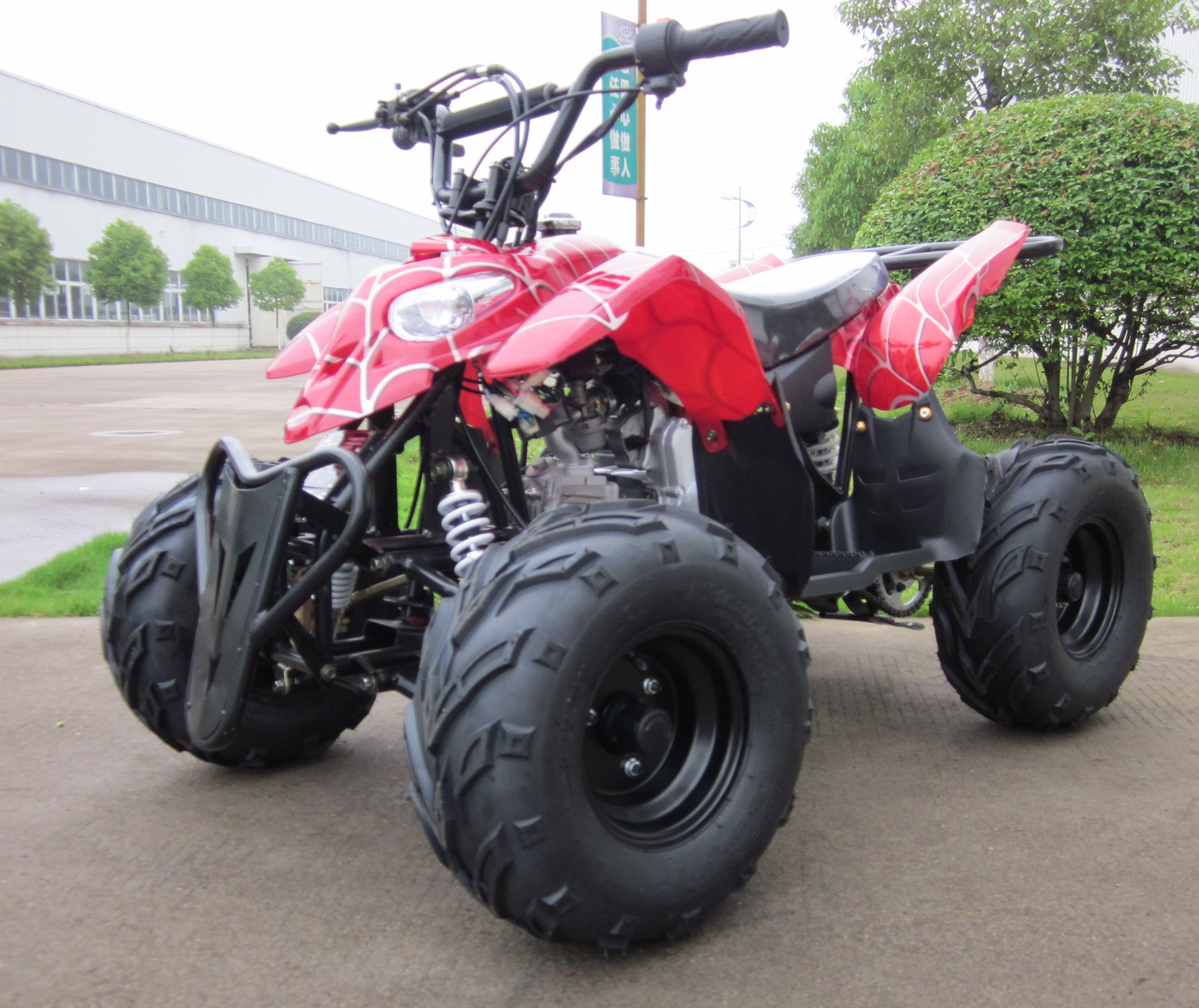 Gaslione Powerful Kids ATV 125CC Mini Quad Bike with CE