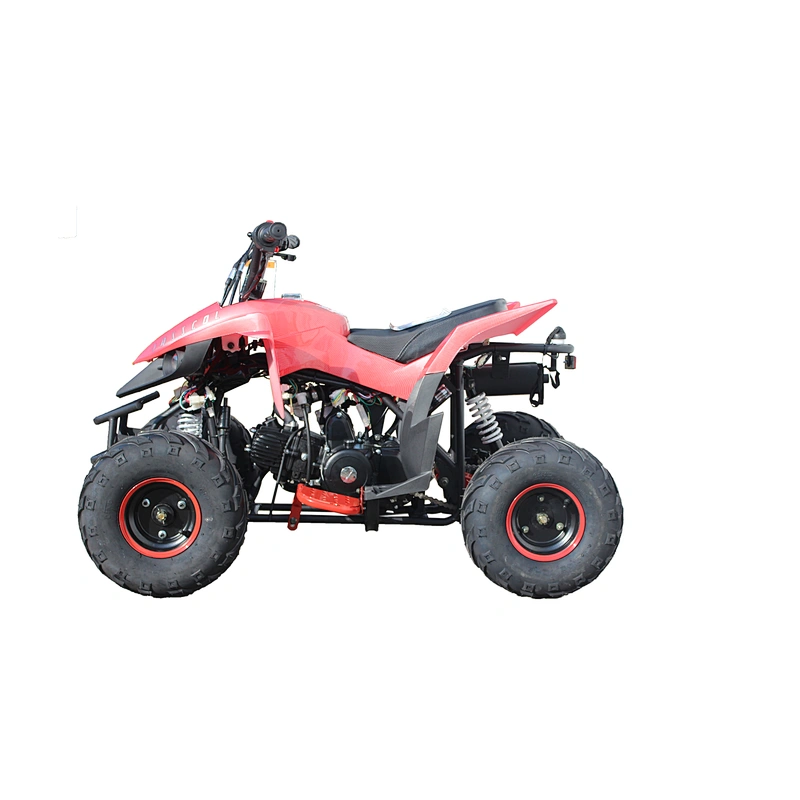Factory Supply Attractive Price 110CC atv vehicle with CE quad bikes for sale 4 wheeler 50CC atv for KIDS