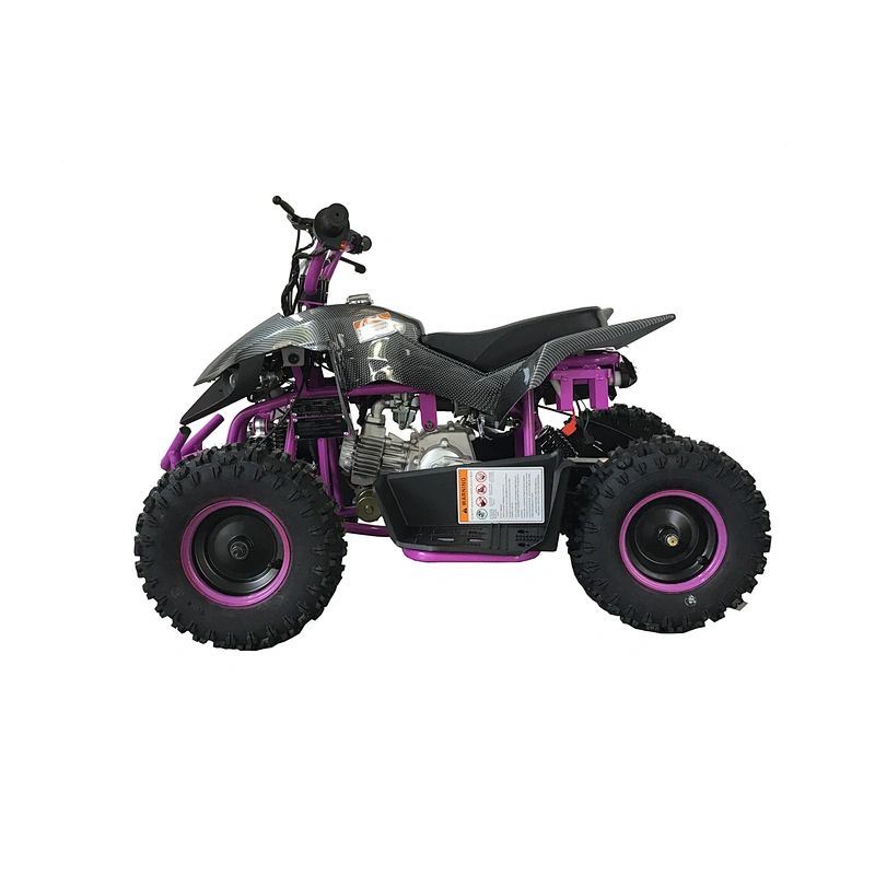 Hot sale best quality gas powered two stroke update four stroke 50cc mini quad bike