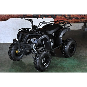 150cc ATV adult quad bike automatic 4-stroke engine MDL 150AUG