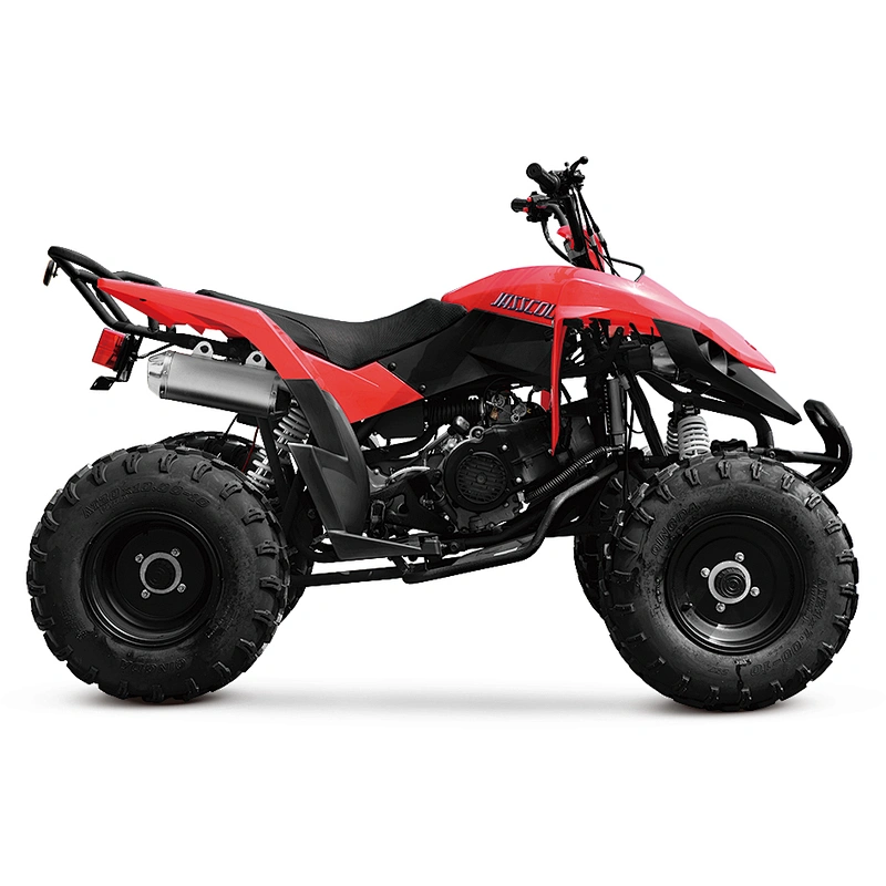 200cc balance engine ATV 4-stroke engine unique design gasoline automatic MDL 200ASG-1