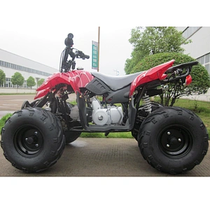 Gaslione Powerful Kids ATV 125CC Mini Quad Bike with CE