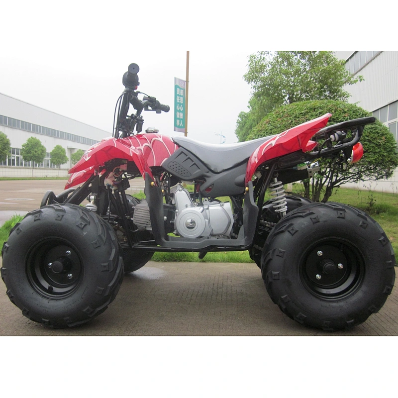 Gaslione Powerful Kids ATV 125CC Mini Quad Bike with CE