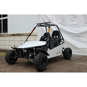 NEW buggy | 2 seater go kart  200/150cc