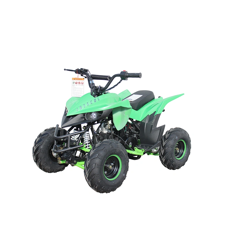 110cc ATV unique design automatic electric start KD110A-1