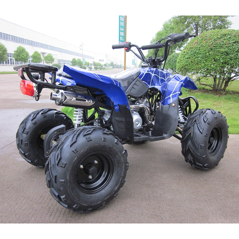 110CC Baby Horse cheap ATV for sale Quad
