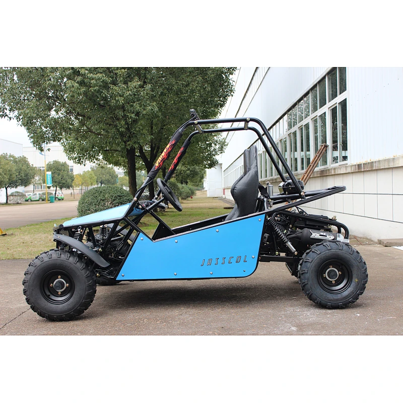 NEW buggy | 2 seater go kart  200/150cc