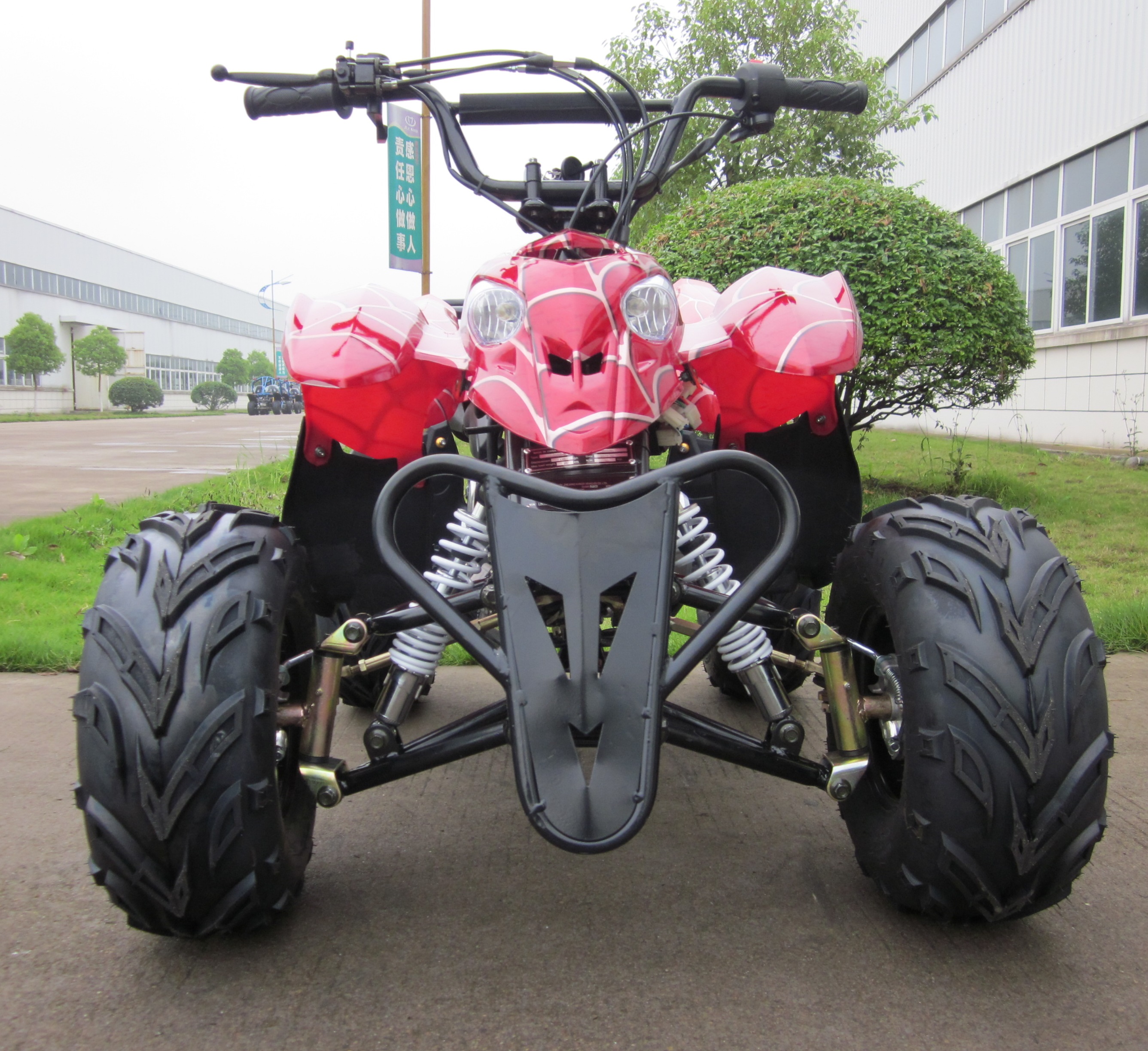 Petrol Powerful Kids ATV 125CC Mini Motor Quad Bike with CE