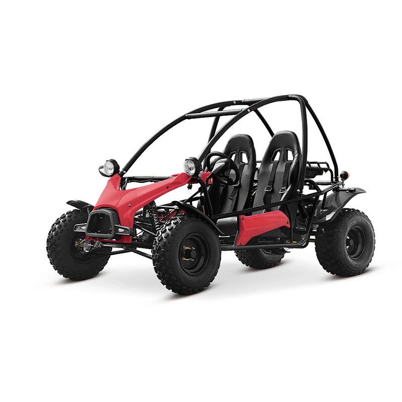 200CC sand buggy | off road Adult go kart 150cc