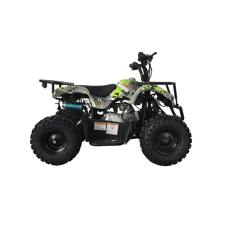 Newest design top quality exclusive design cheap electric quad bike atv for sale