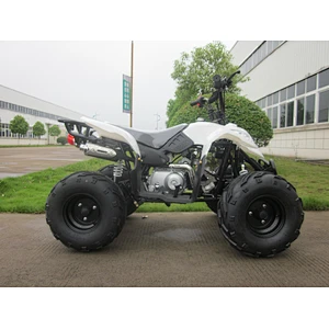 Chain Drive Quad 110cc ATV with EPA and CE