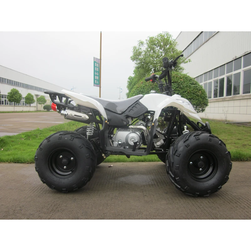 Chain Drive Quad 110cc ATV with EPA and CE
