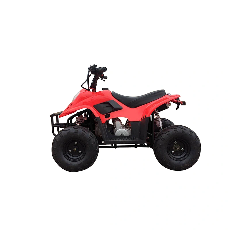 110CC 4-stroke quad bike gasoline automatic engine ATV MDL GA001