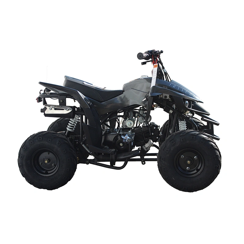 110cc ATV unique design automatic electric start KD110A-1