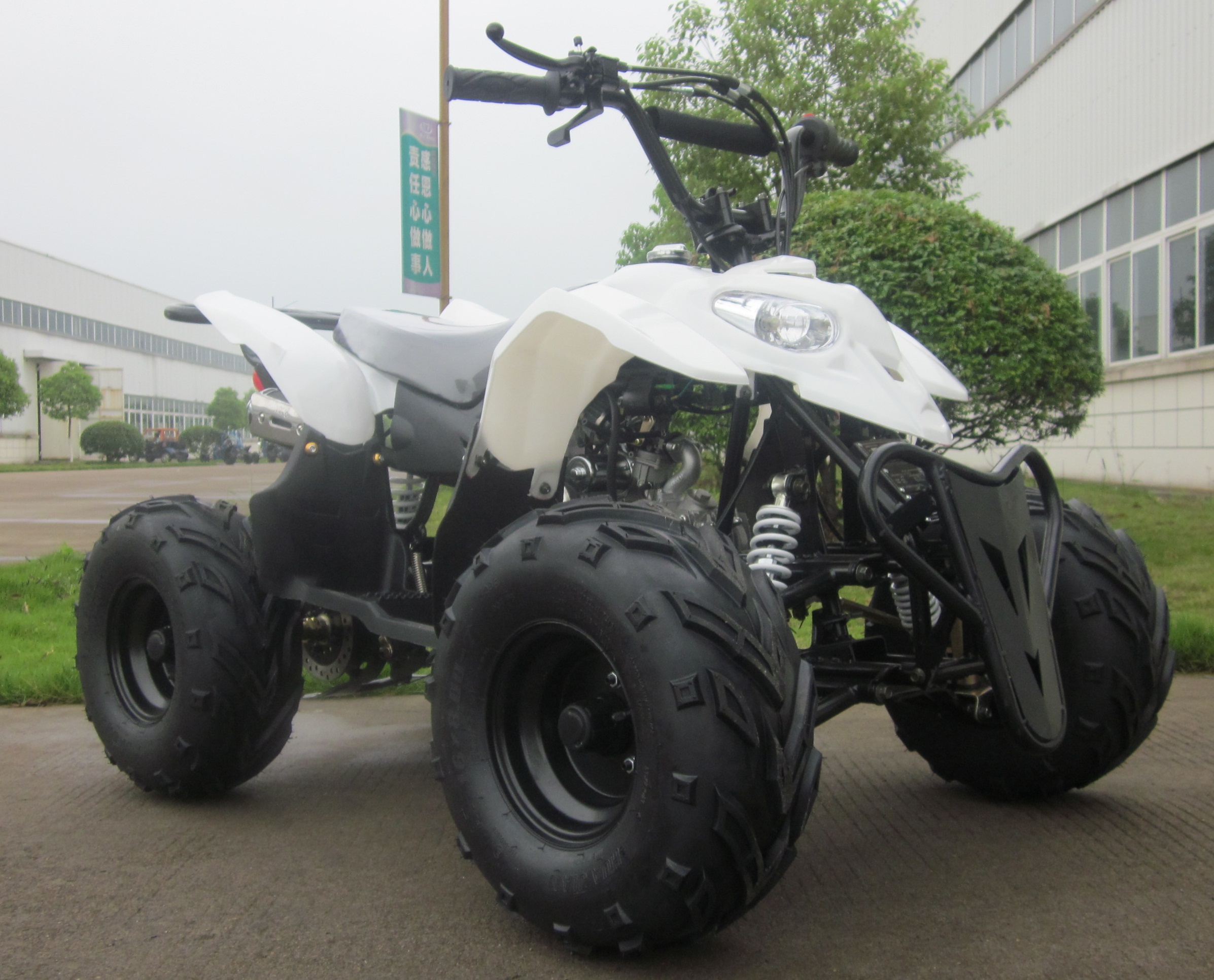 Chain Drive Quad 110cc ATV with EPA and CE