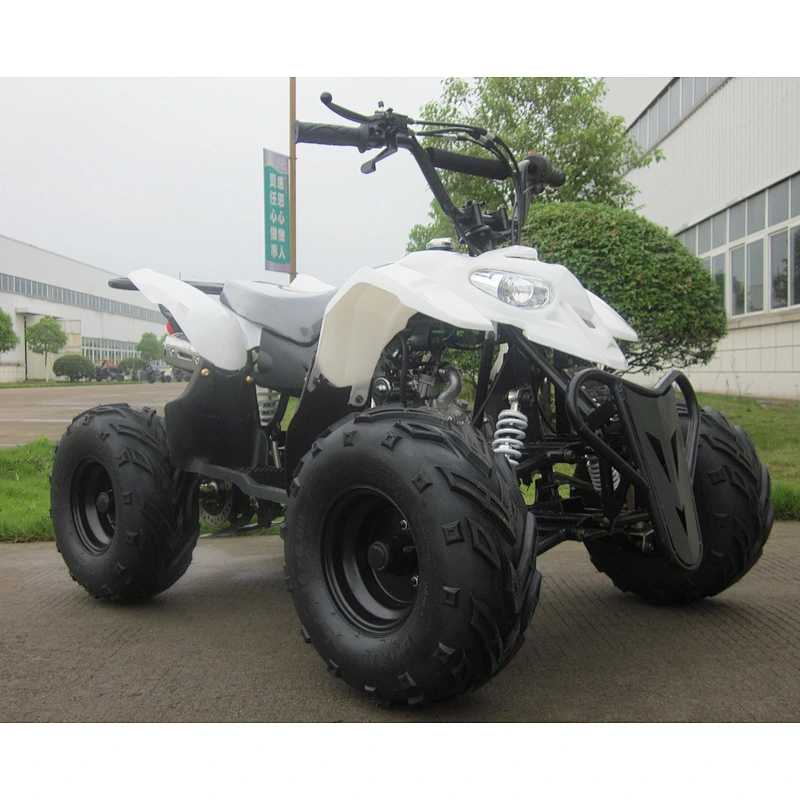 Chain Drive Quad 110cc ATV with EPA and CE