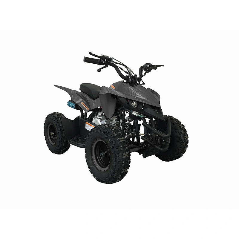 60cc 4-stroke engine ATV automatic quad bike chain drive KD 60A-2