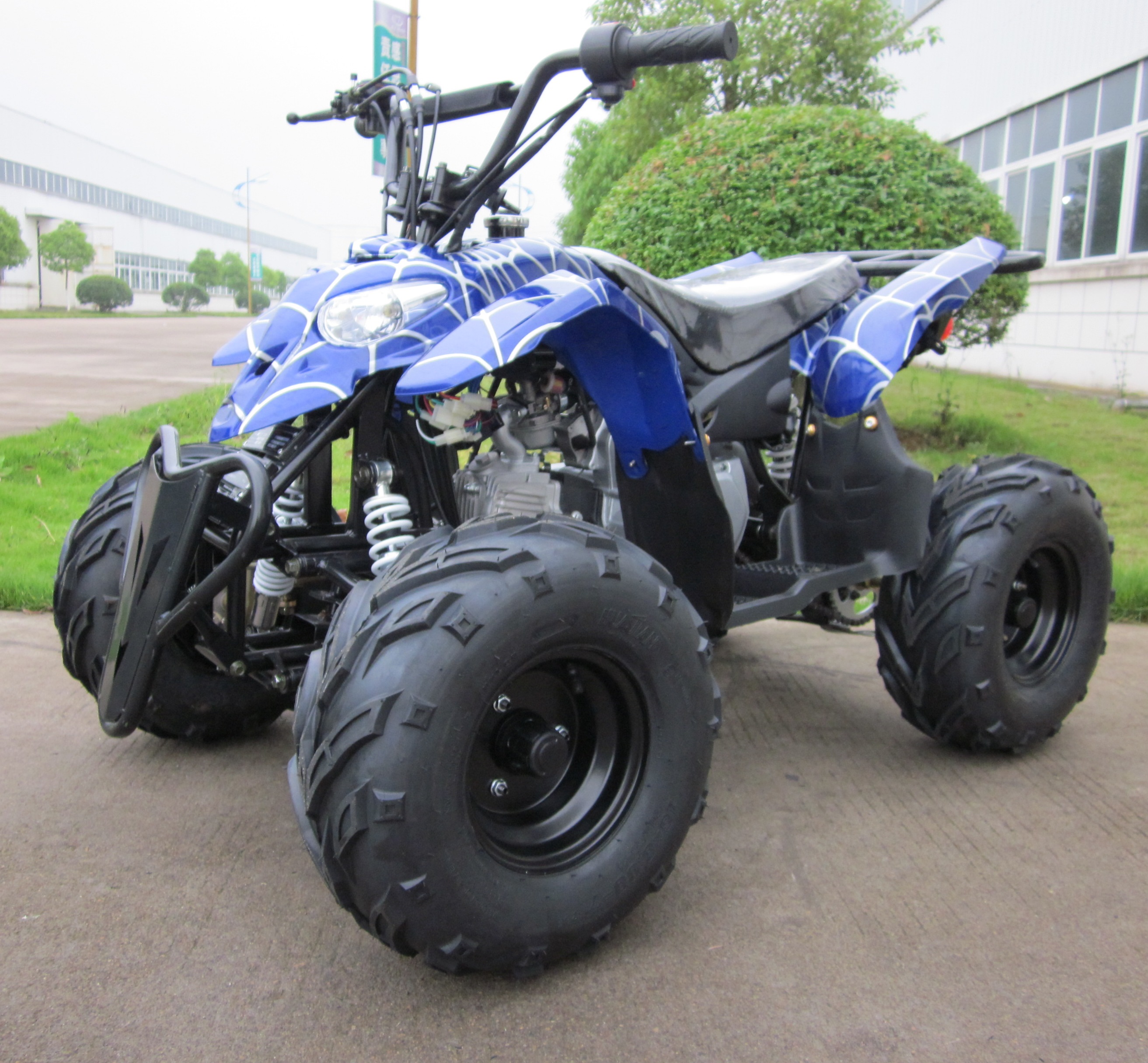 110CC Baby Horse cheap ATV for sale Quad
