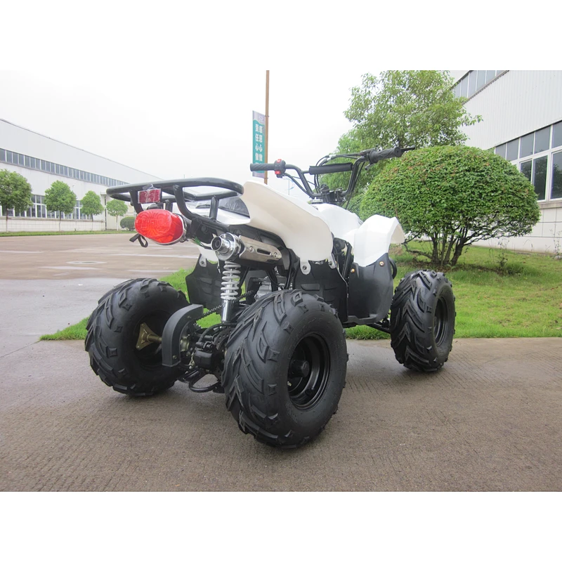 Chain Drive Quad 110cc ATV with EPA and CE