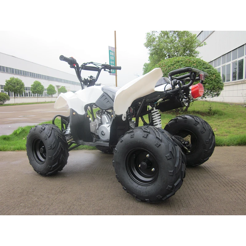 Chain Drive Quad 110cc ATV with EPA and CE