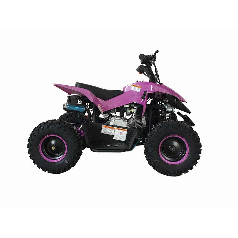 Unique design hot sale CE certificate 4 stroke popular cheap 60cc atv for adults