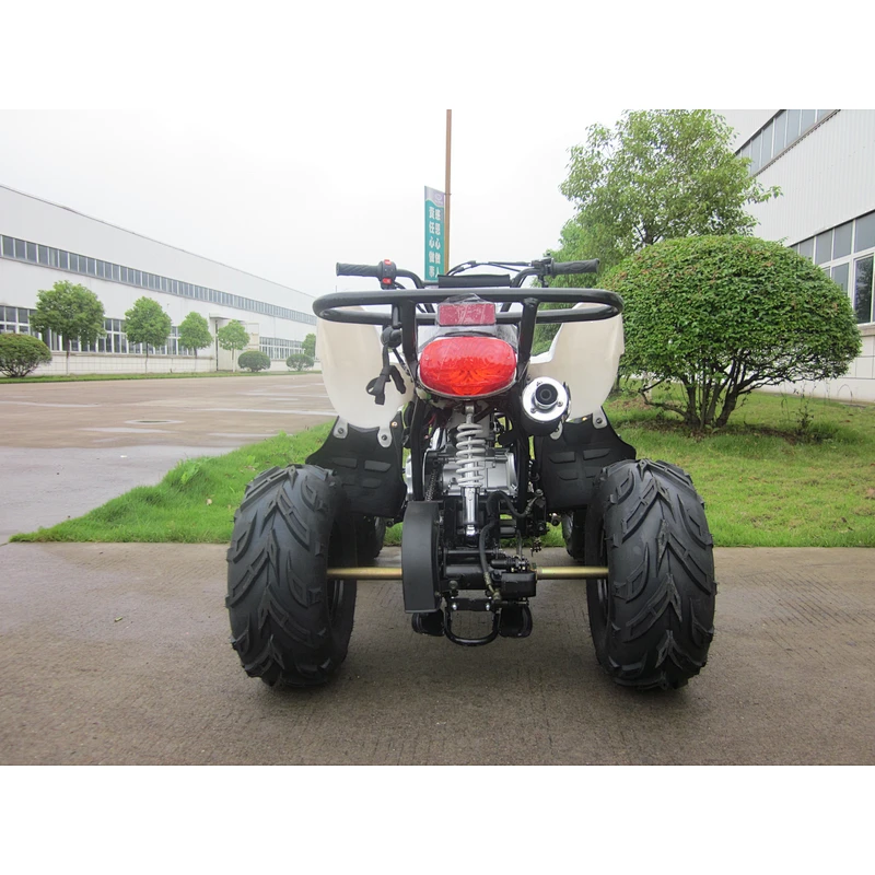 Chain Drive Quad 110cc ATV with EPA and CE
