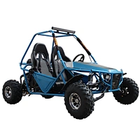 Widely used superior quality Factory supply cheap 2 seater adults racing new gas off road go karts for sale
