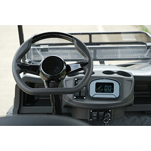 EEC  ELECTRIC GOLF CARTS 2 SEATER  UTV WITH CARGO