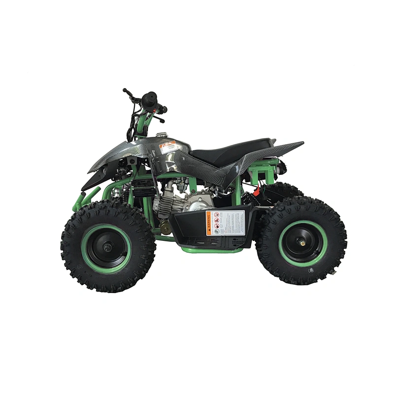 Hot sale competitive price 60cc quad bike electric adult atv for sale