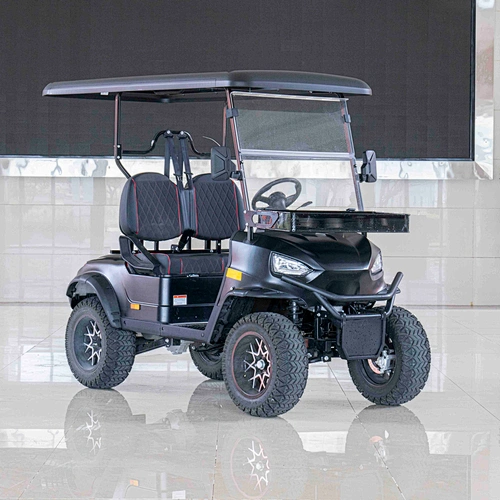 EEC ROAD LEGAL CARTS ELECTRIC LITHIUM BATTERY GOLF CARTS with 2 seat