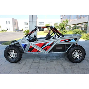 Big Power electric buggy and electric go kart