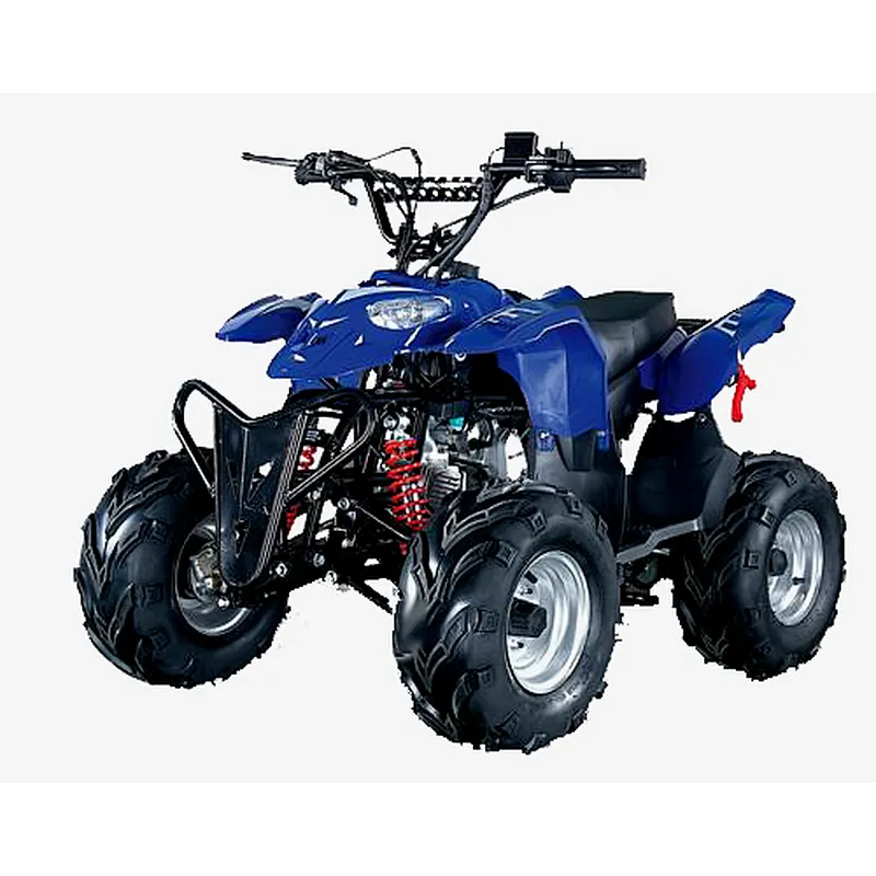 110cc ATV 125cc Quad