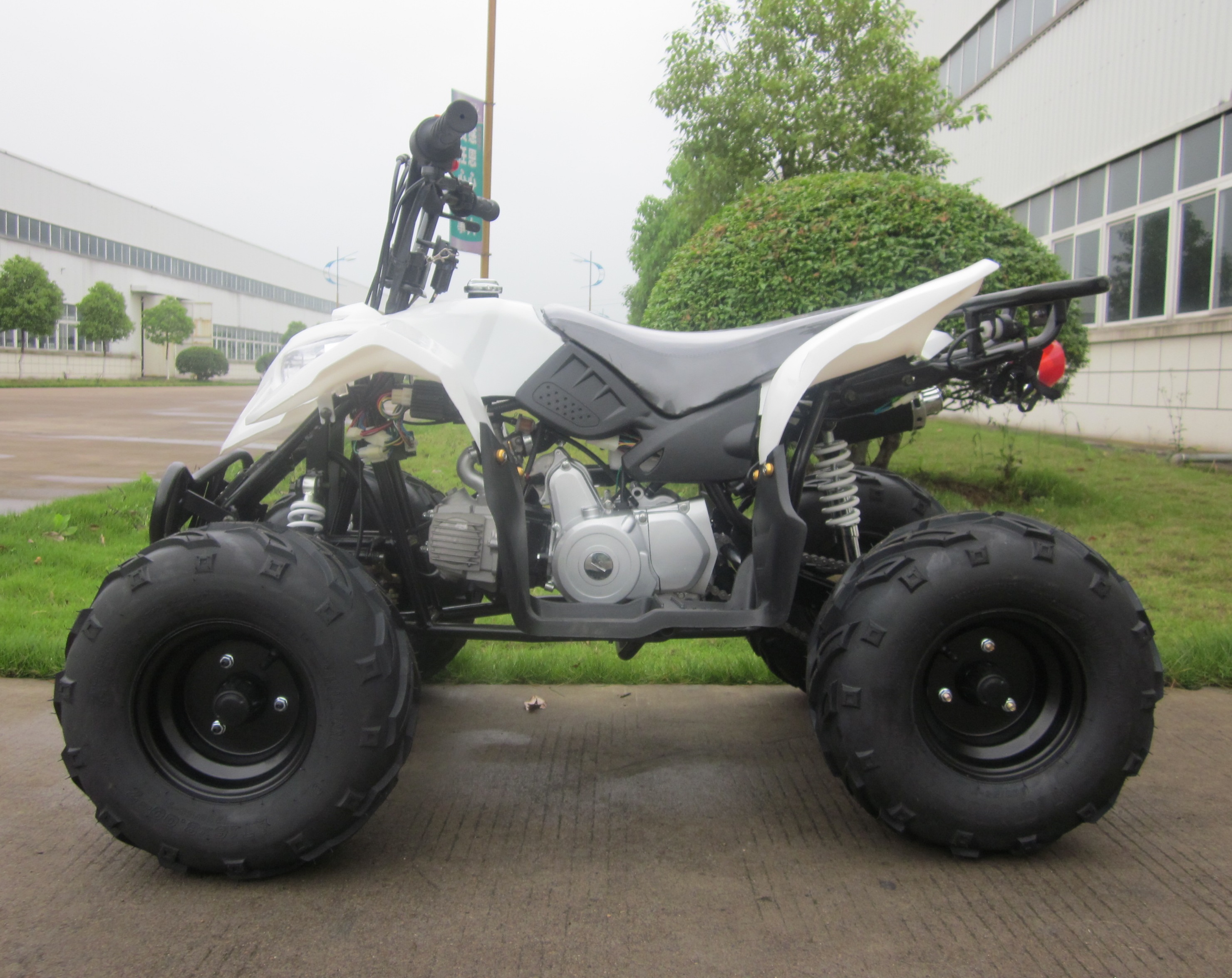 Hot Selling 110cc/125cc Automatic 4 Storke Atvs Kids 110cc
