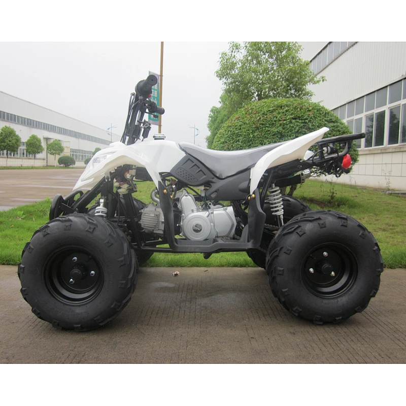 Hot Selling 110cc/125cc Automatic 4 Storke Atvs Kids 110cc