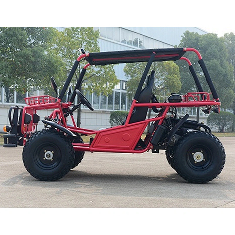 Gas go karts cheap go carts 200cc dune buggy