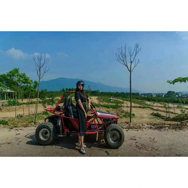 2 seats off road go kart buggy 200cc and150cc