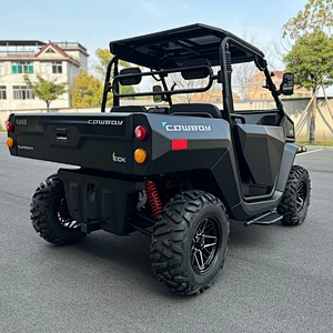 ELECTRIC utv