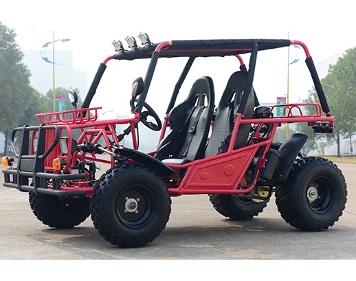 Gas go karts cheap go carts 200cc dune buggy