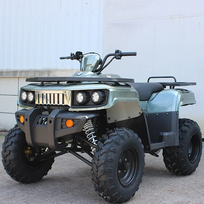 300cc UTILITY ATV QUAD BIKE 300