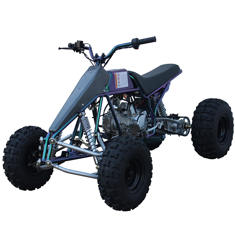 2019 New sale EPA 4 wheel quad bike kids electric mini atv 125cc quad