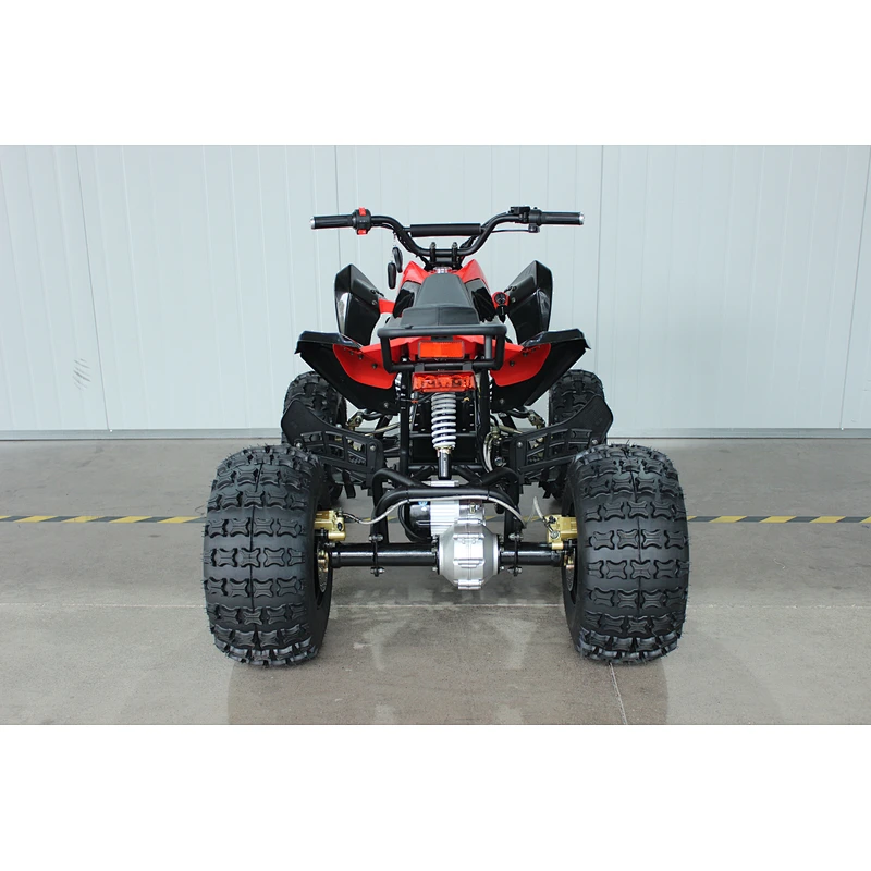 500W Electric ATV and Quad for kids