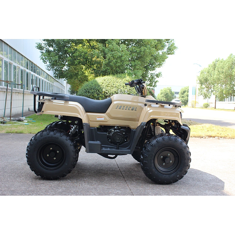 ATV QUAD 200CC 150CC Engine ATV