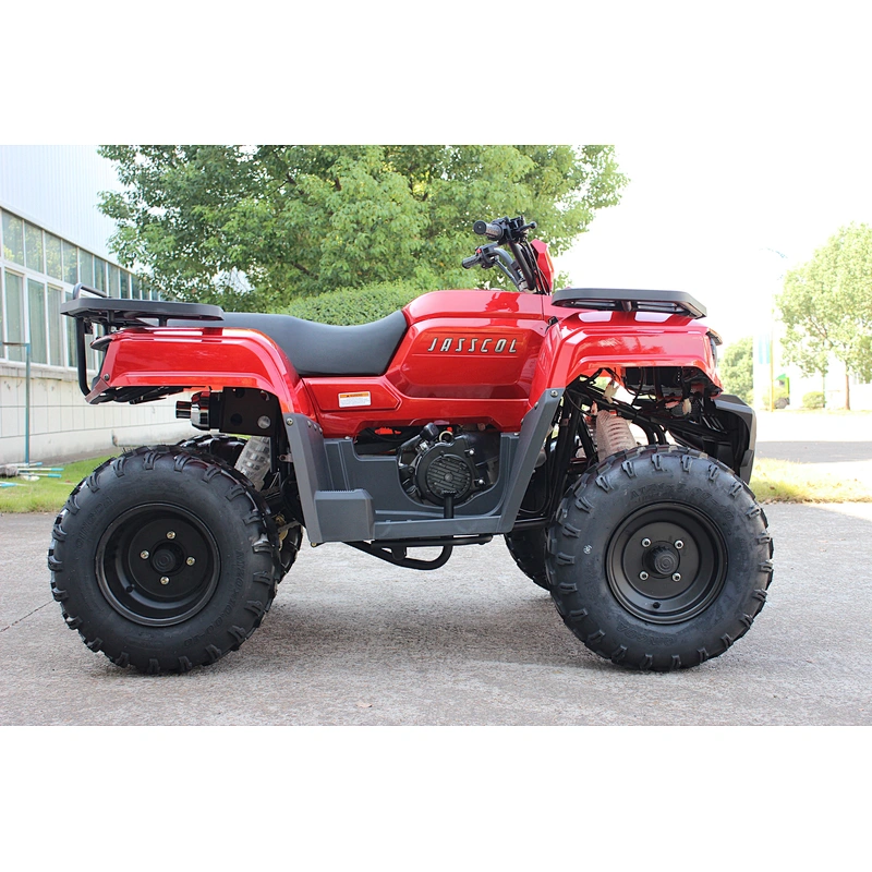 Kandi Brand New 200cc China Quad ATV