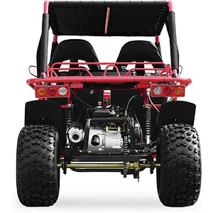 200CC CVT Go Kart Automatic Dune Buggy Racing Go Kart