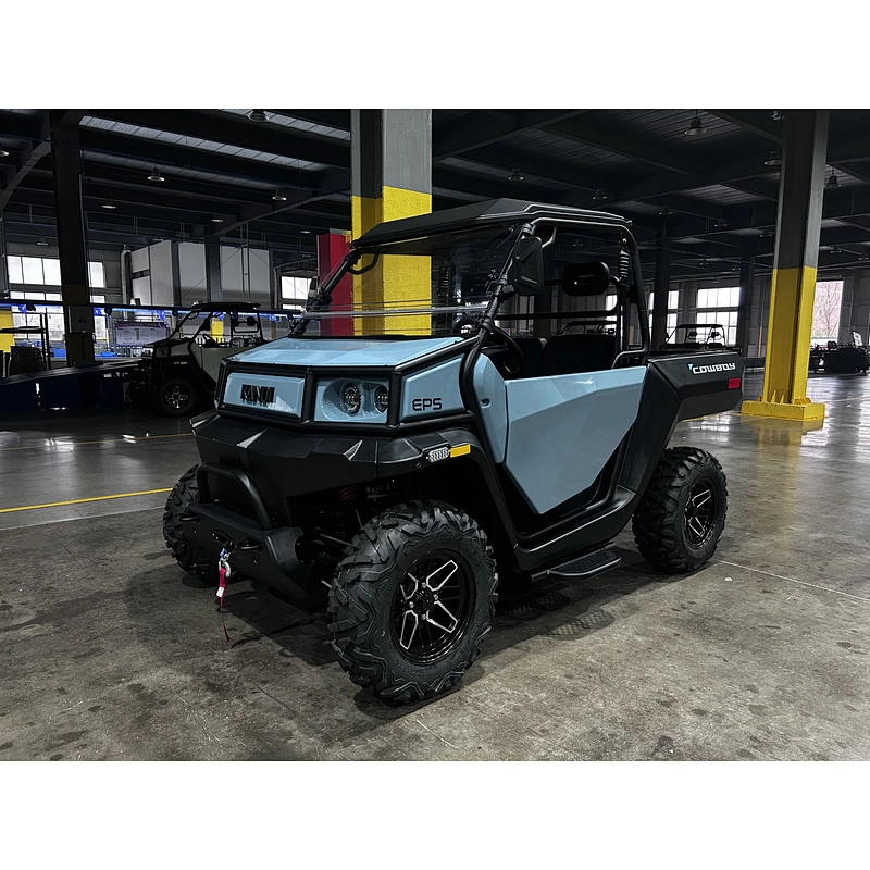 4*4 Lithium battery Electric UTV